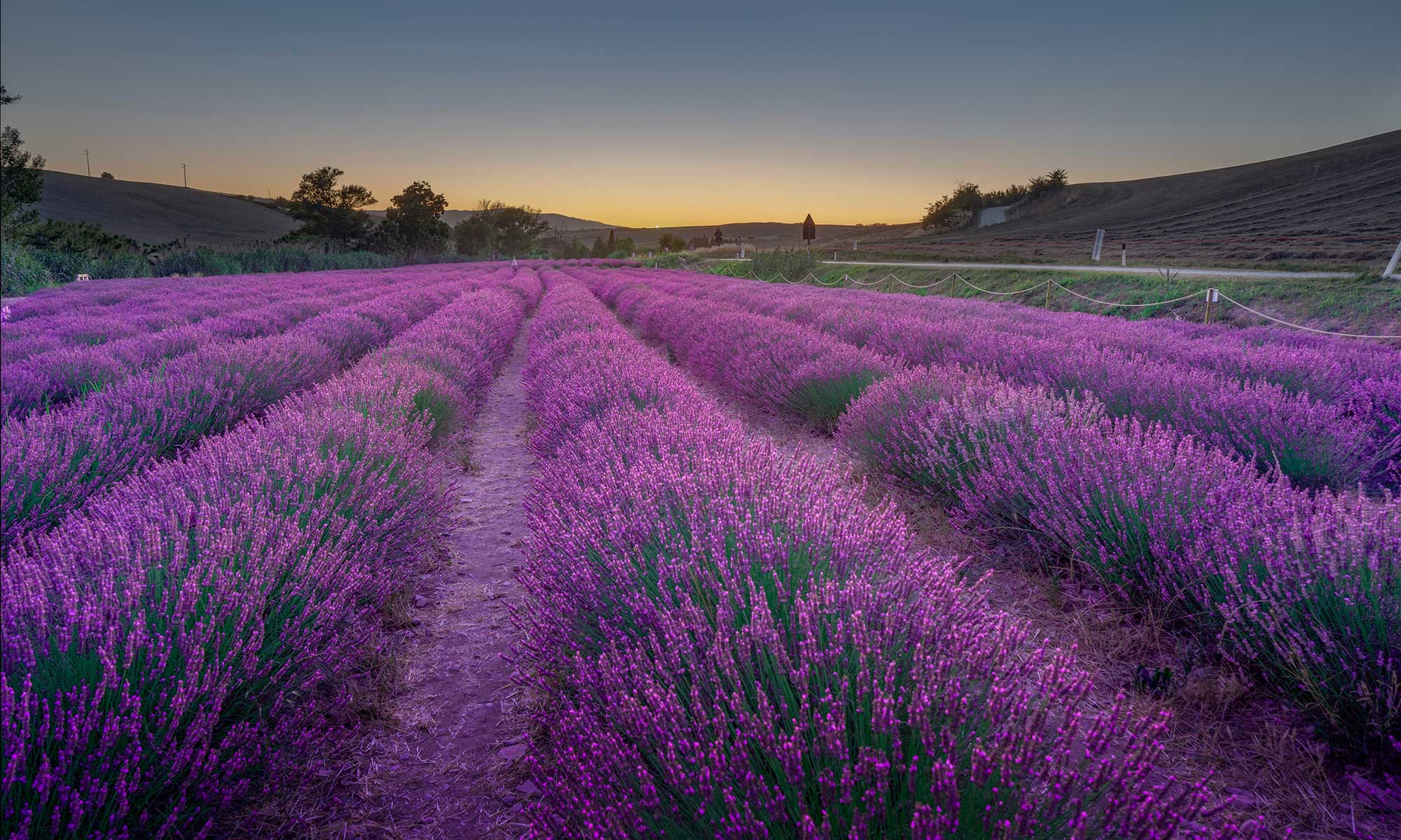 Doterra Öl Abend